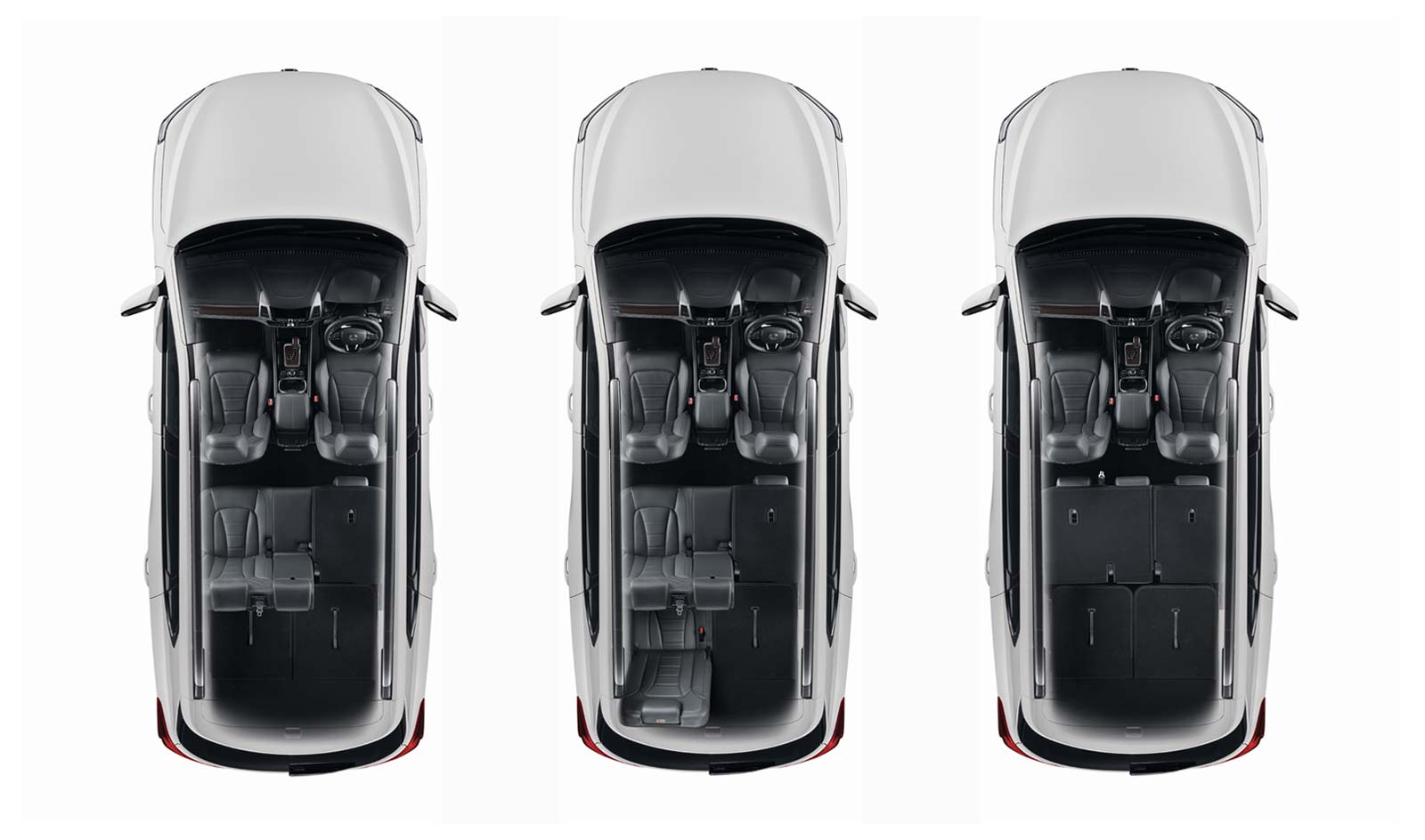 rexton - 7 Seater